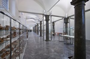  La Cavallerizza che ospita la collezione archeologica