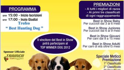 1° Dog Show – Expo Cinofila Citta’ di Gratteri