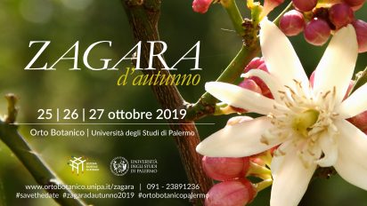 Palermo – Orto Botanico, La XIX edizione di “Zagara d’autunno 2019”