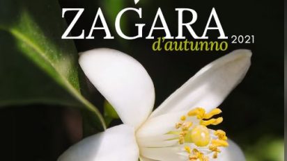 Orto Botanico di Palermo – Zagara d’autunno 2021 / Coltiviamo la bellezza!