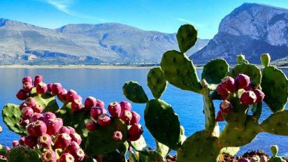 I colori del paesaggio siciliano