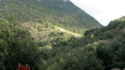 Riserva naturale Monte Carcaci