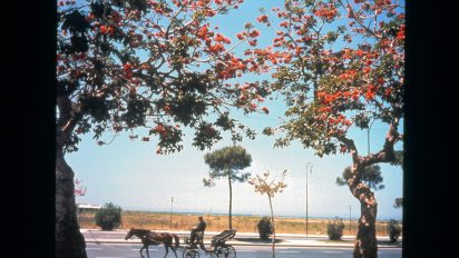 Verde Tropicale-Orientale