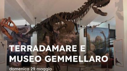 Museo Gemmellaro: Apertura Straordinaria